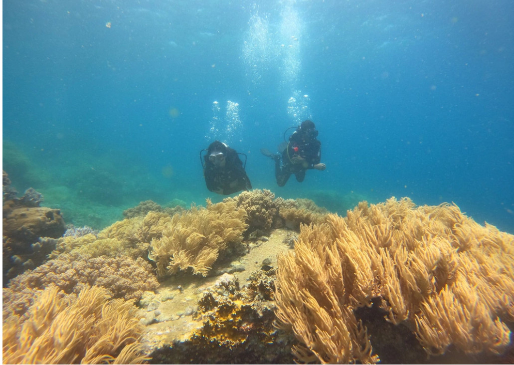 scuba_diving_son_dung_beach