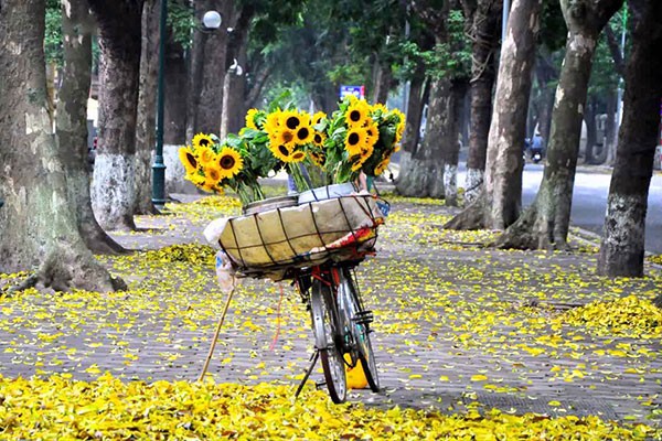 Hanoi-autumn-1